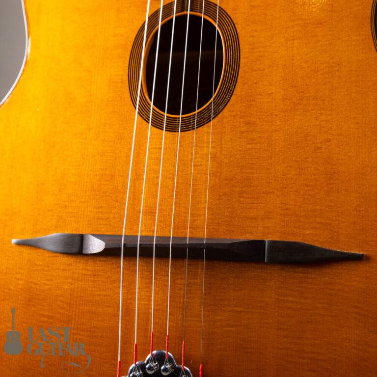 Stringphonic Advanced FV Limited | LAST GUITAR OFFICIAL WEBSITE