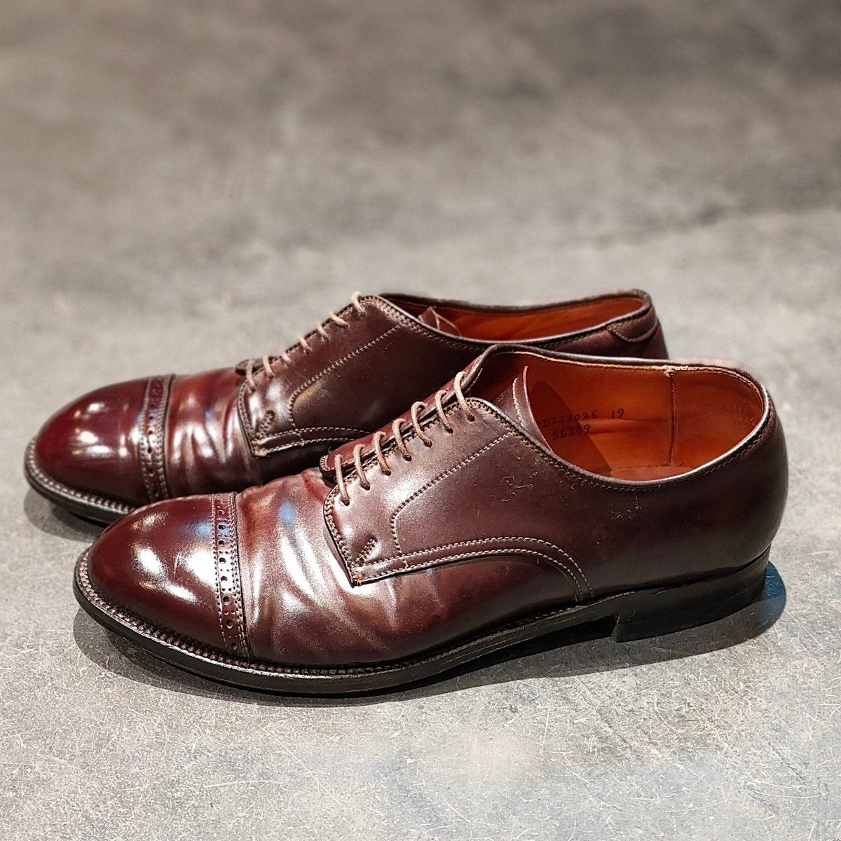 ALDEN】オールデン アナトミカ別注 56259 パンチドキャップトゥ コード