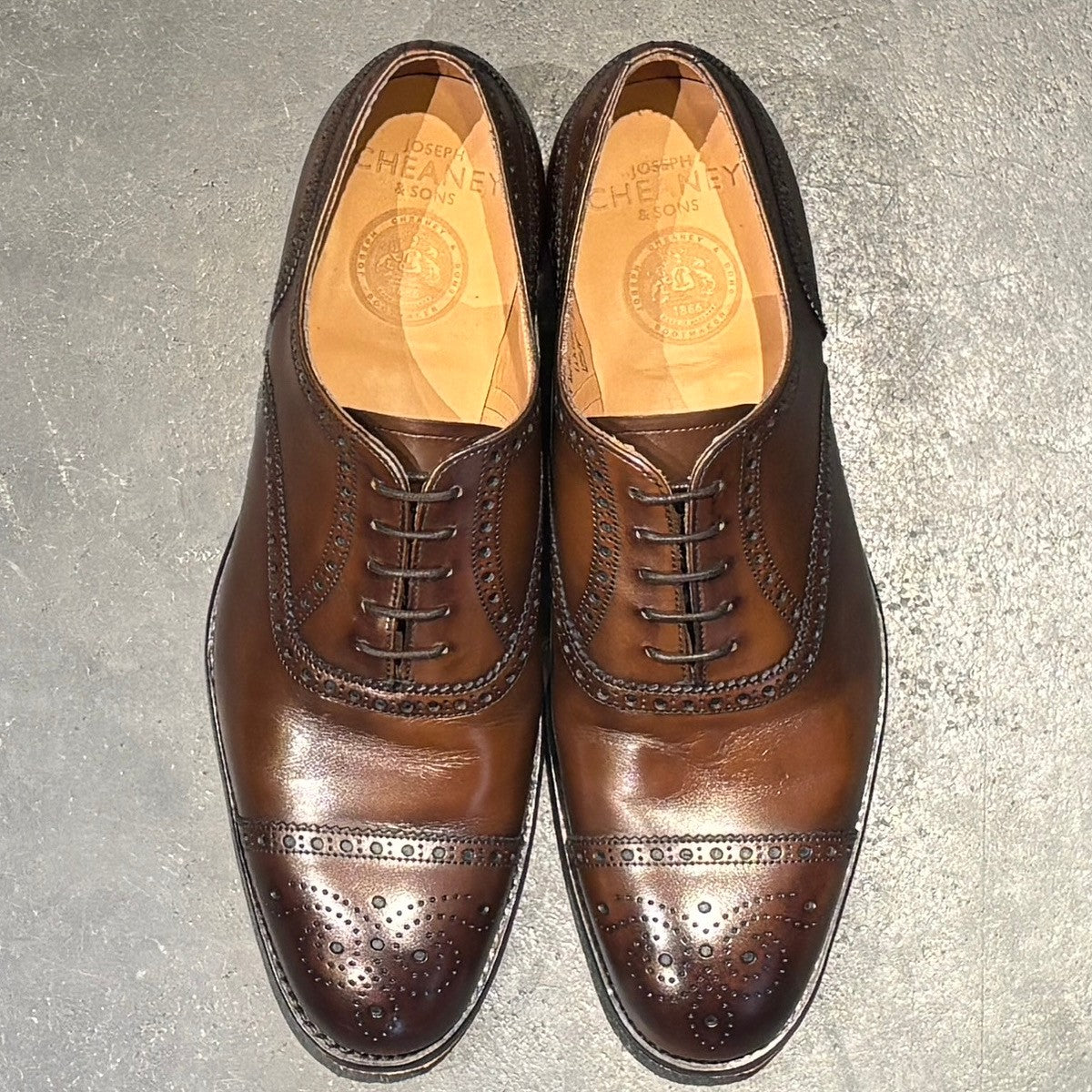 JOSEPH CHEANEY】ジョセフチーニー ウィルフレッド セミブローグ