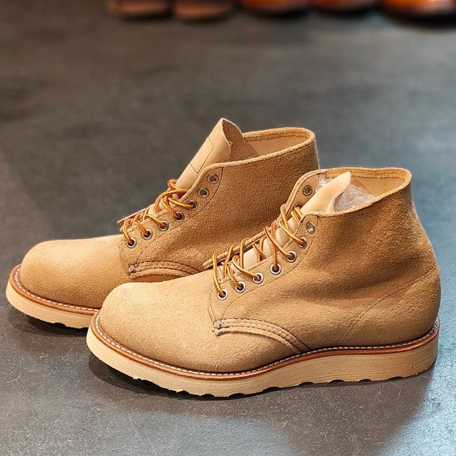 未使用品【REDWING】レッドウィング アイリッシュセッター 四角犬タグ