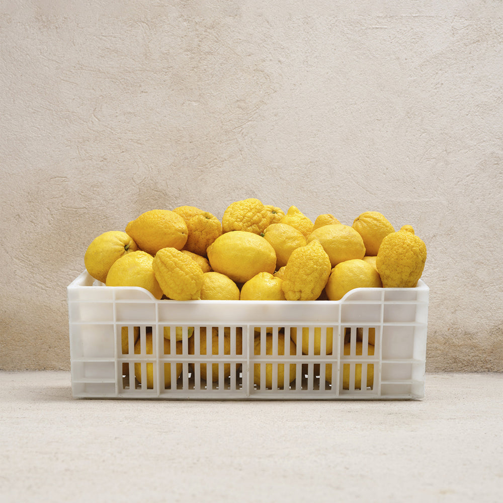 公式】コローニュ セドラ ハンド＆ボディ ローション｜MATIERE