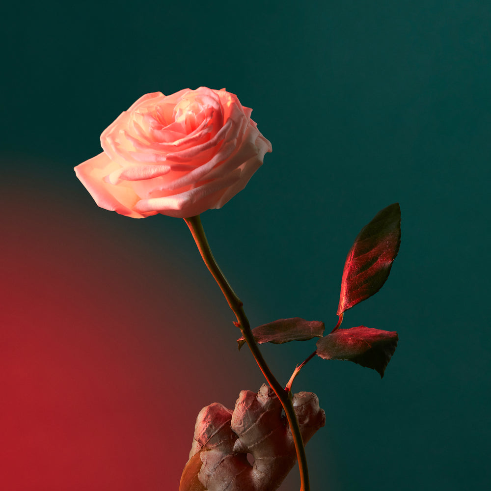 公式】リキッド ラブ オードパルファム｜ペンハリガン｜香水・フレグランス