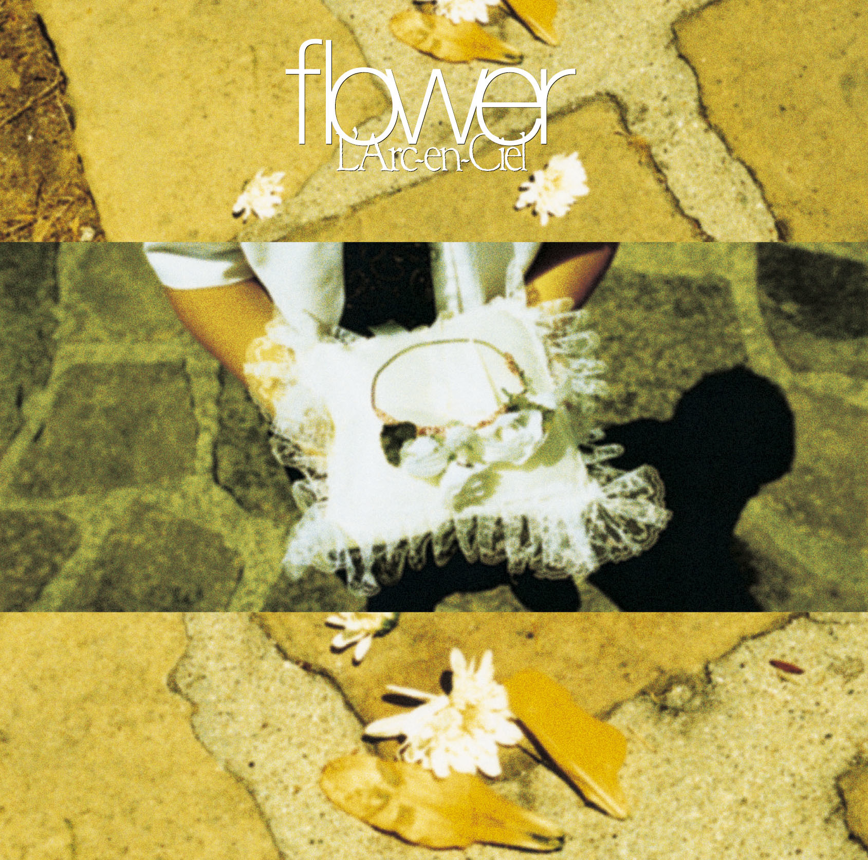 ラルク フォトブック ライヴ写真集 ラルクアンシエル L'Arc-en-Ciel