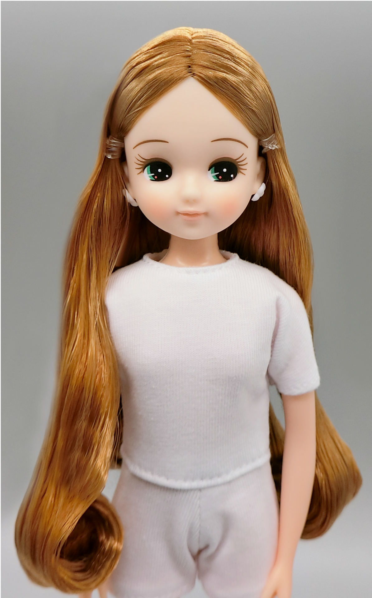 かげちゃんさま専用センチュリーMORE かげちゃんさま専用センチュリー