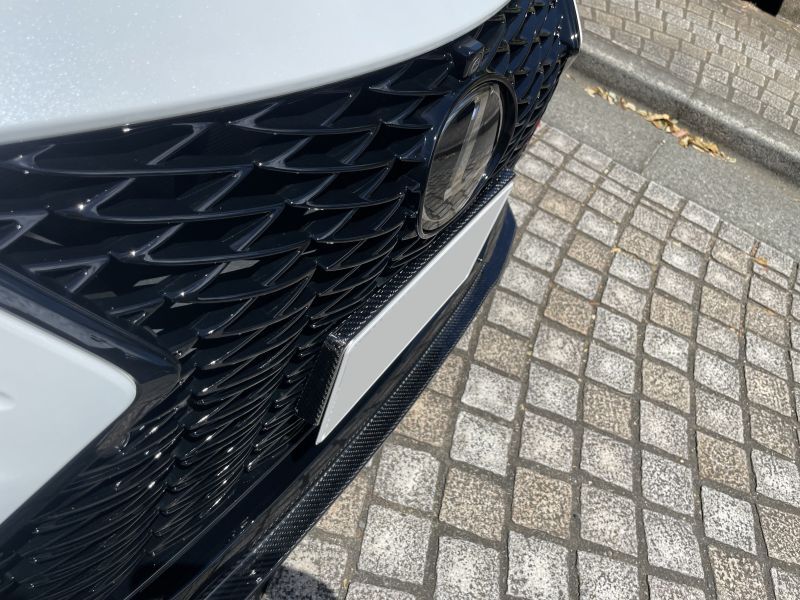 IS500用 カーボン ナンバーベース