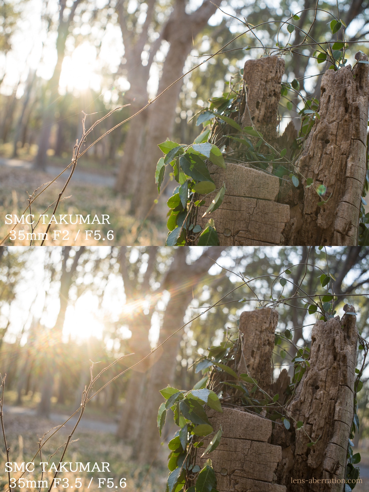 タクマー比較】SMC TAKUMAR 35mm F2 vs. F3.5 | 収差Love