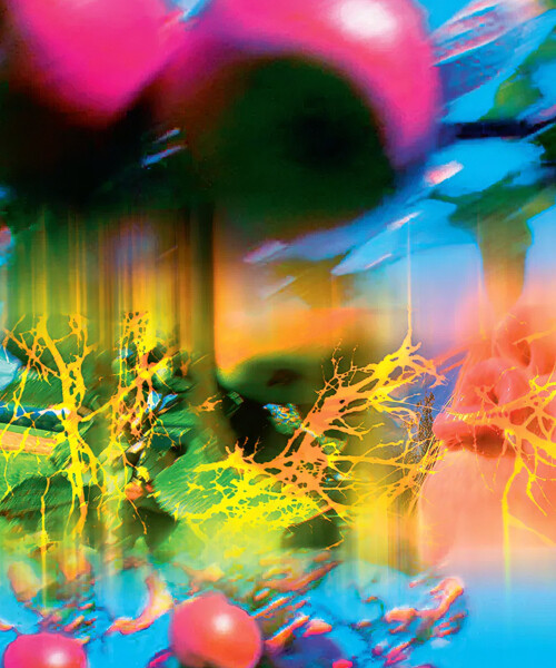 Louisiana 1996 – ヴォルフガング・ティルマンス - LEBENSFARBE