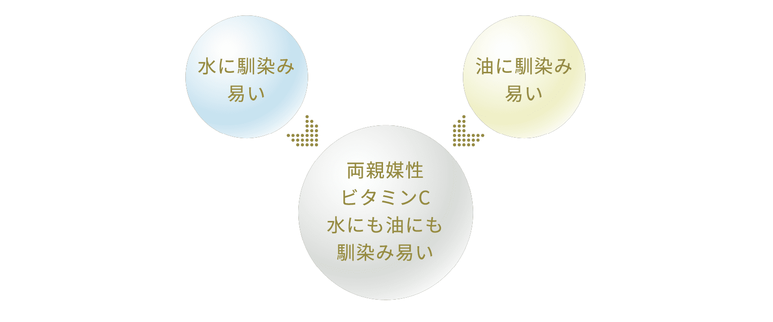 CFセラムアドバンス | レカルカ公式オンラインショップ