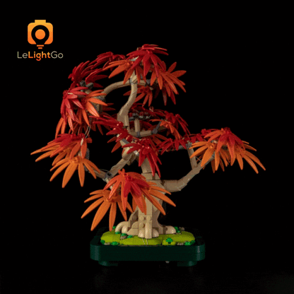 Light Kit For Japanese Red Maple Bonsai Tree 10348 – LeLightGo