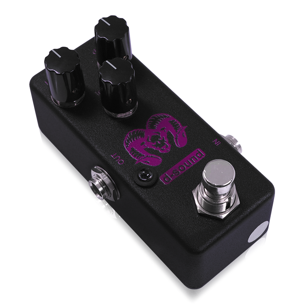 D-Sound - '73 Rams Head – LEP INTERNATIONAL