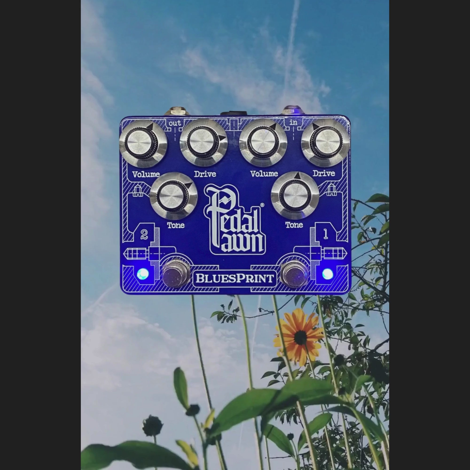 Pedal Pawn - BLUESPRINT – LEP INTERNATIONAL