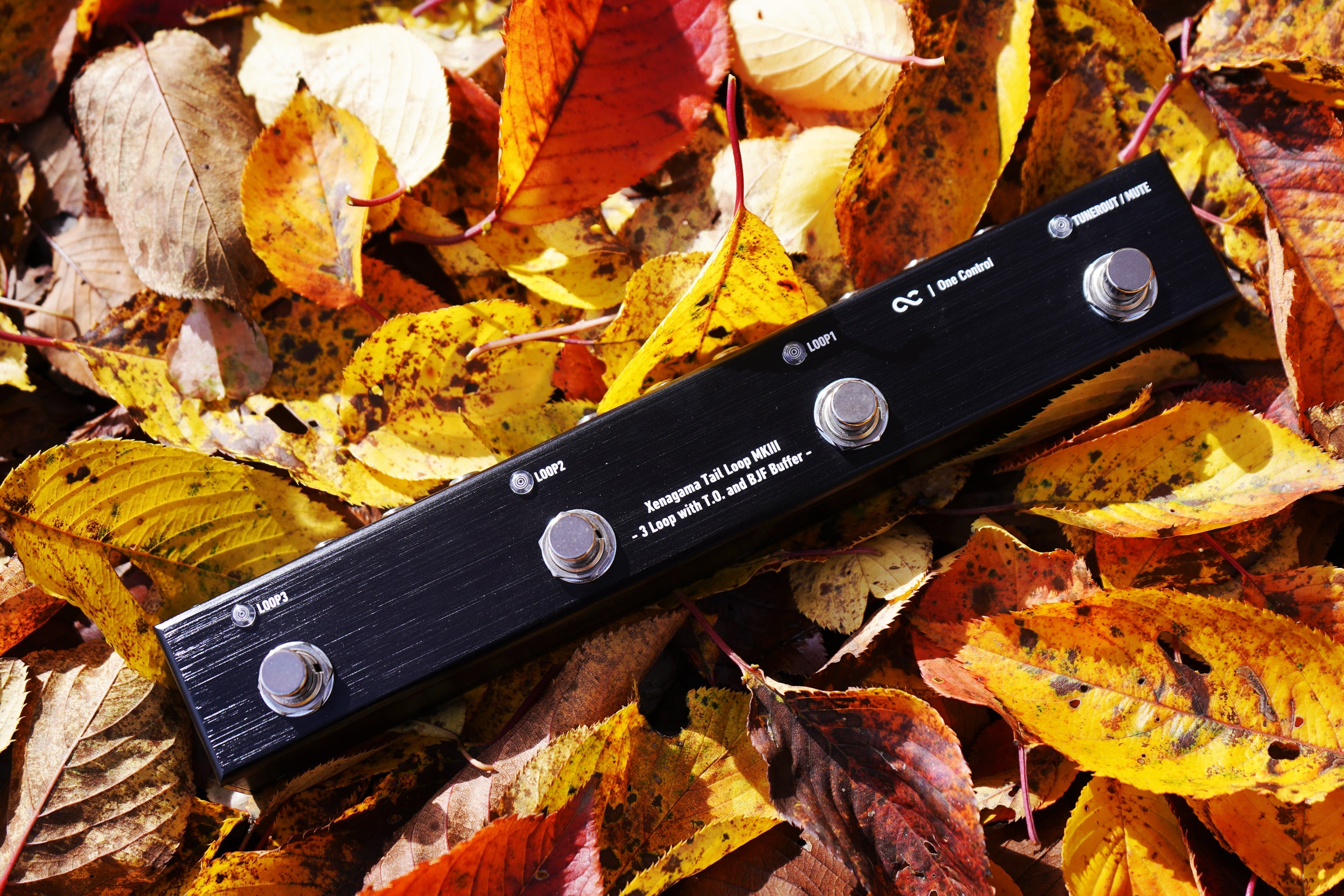 One Control - Xenagama Tail Loop MKIII - 3 Loop with T.O. and BJF