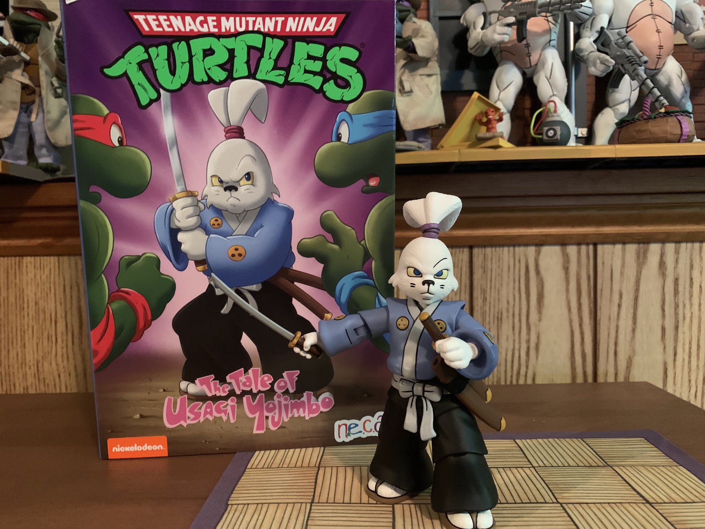 NECA Cartoon TMNT The Tale of Usagi Yojimbo | The Nostalgia Spot