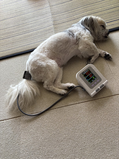 エルデ ペット用血圧計 PES-1700 エルデ 血圧計 | ホームセンター通販