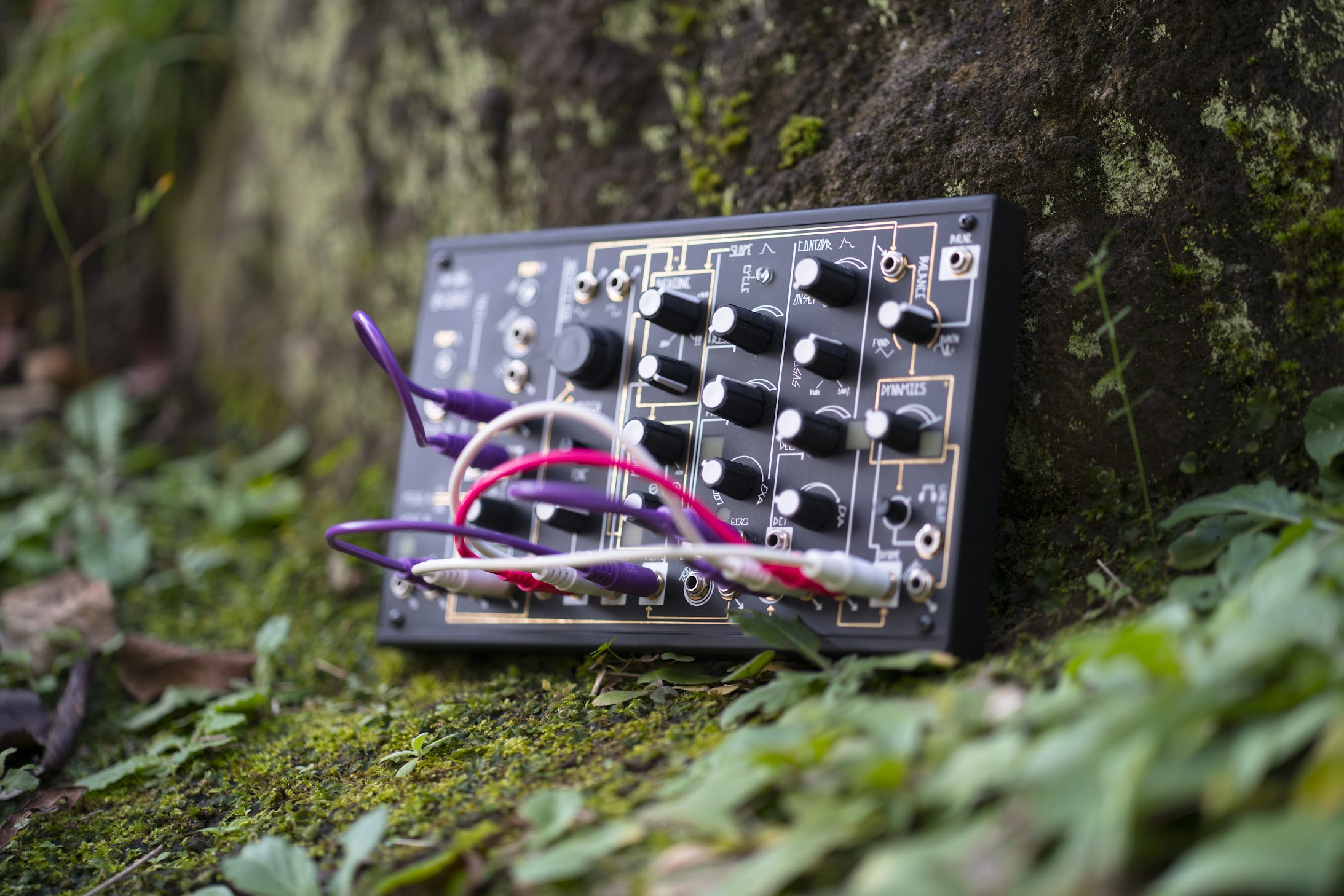 赤ちゃんでも楽しめるMake Noise 0-Coast – Akihiko Matsumoto Blog