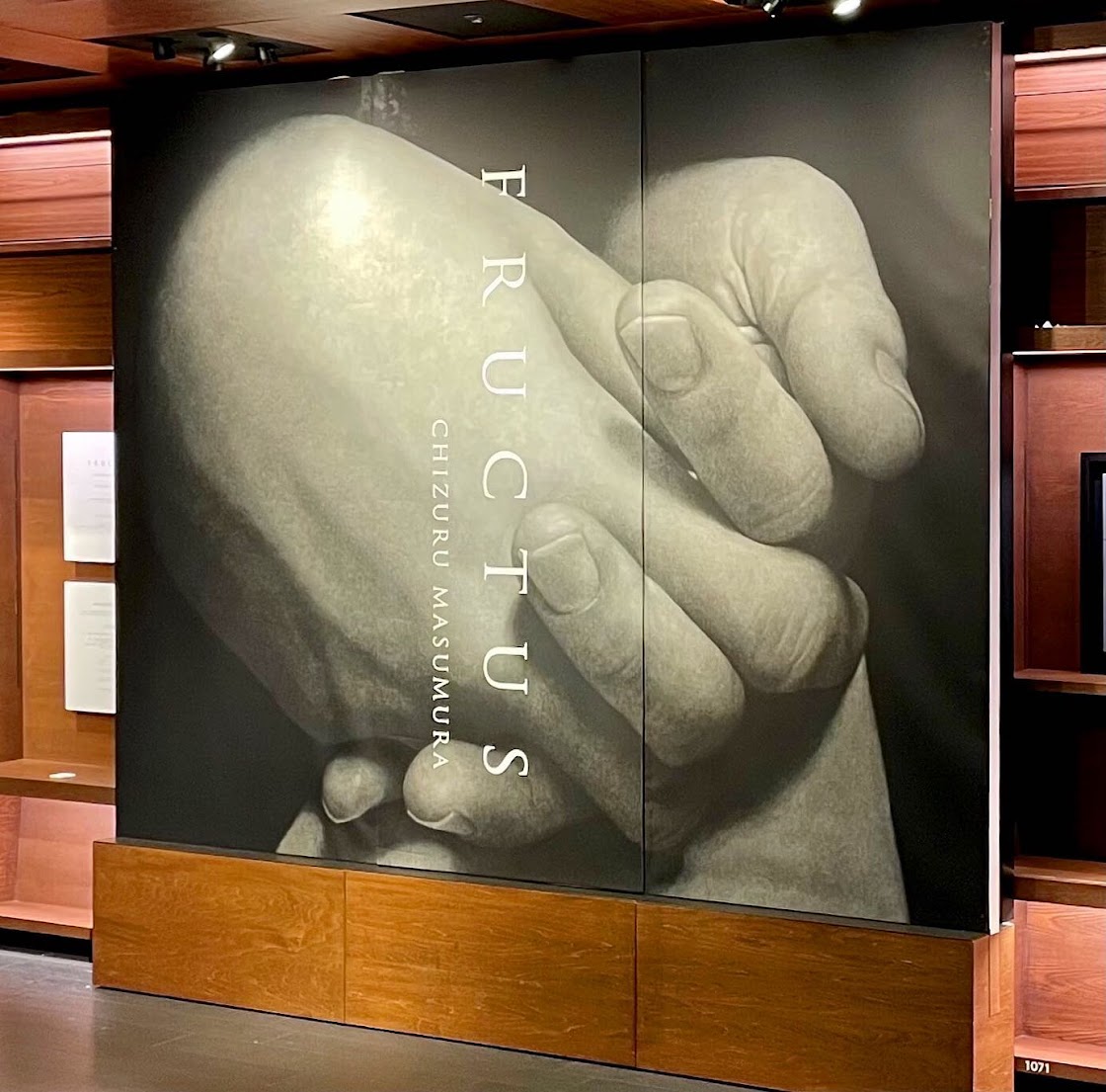 特装版 】益村千鶴 FRUCTUS｜求龍堂