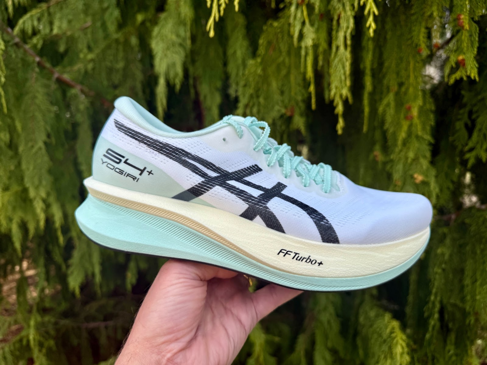 Road Trail Run: ASICS S4+ Yogiri Review