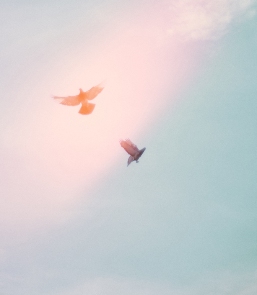 No.996 – LINC ORIGINAL MAKERS