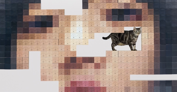 あいみょん『猫にジェラシー』