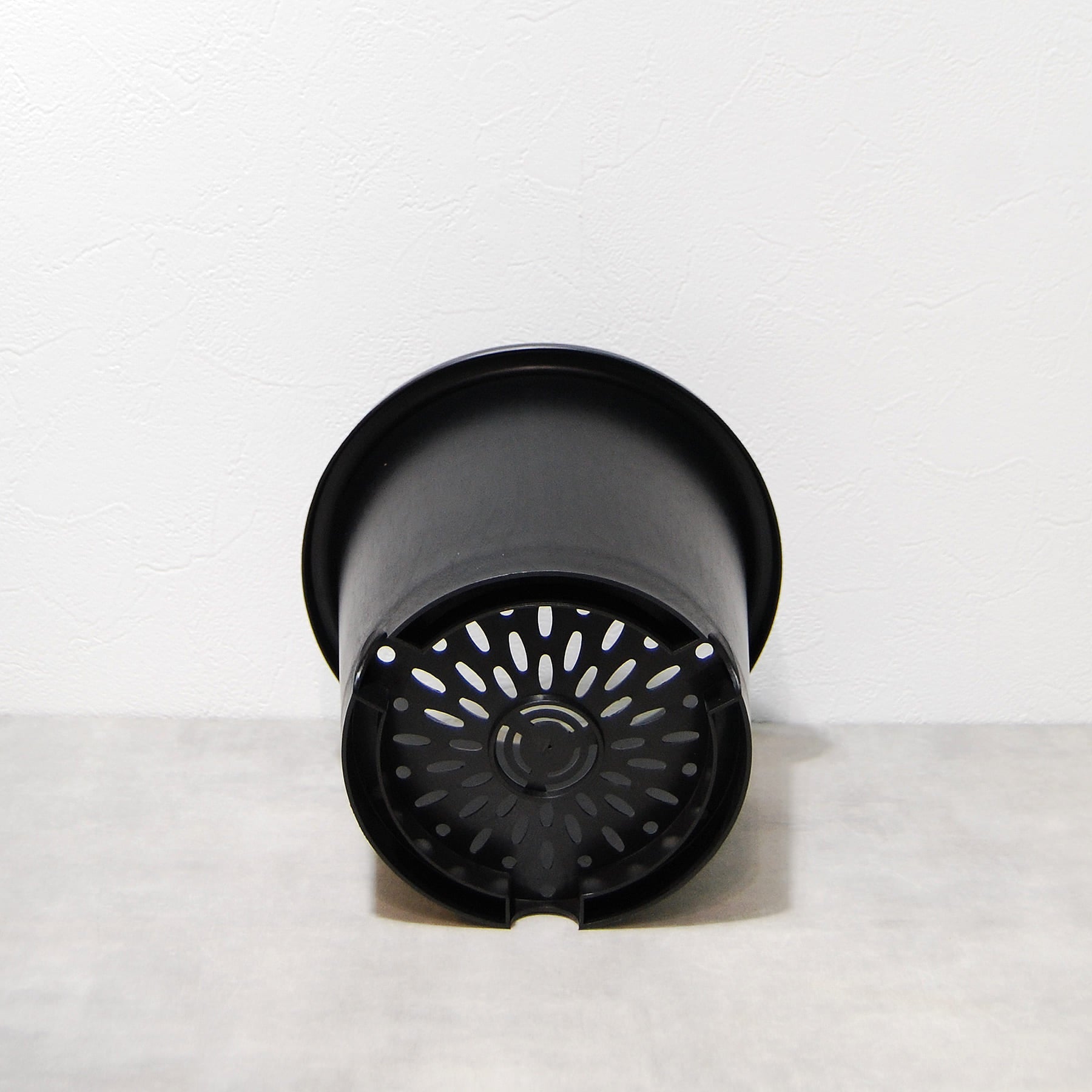 菊鉢 6号 大和プラスチック – linkplants -リンクプランツ-