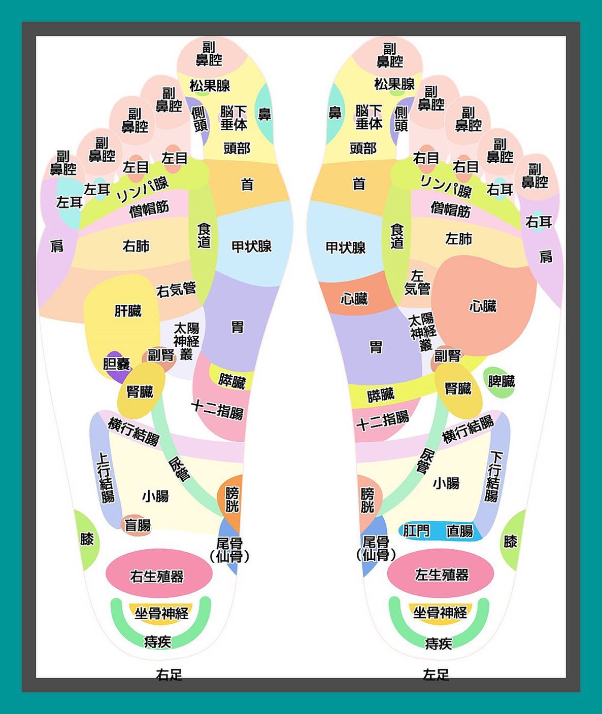 寒い時期には足つぼマッサージがオススメ ｜ らいおん鍼灸整骨院 住之江院