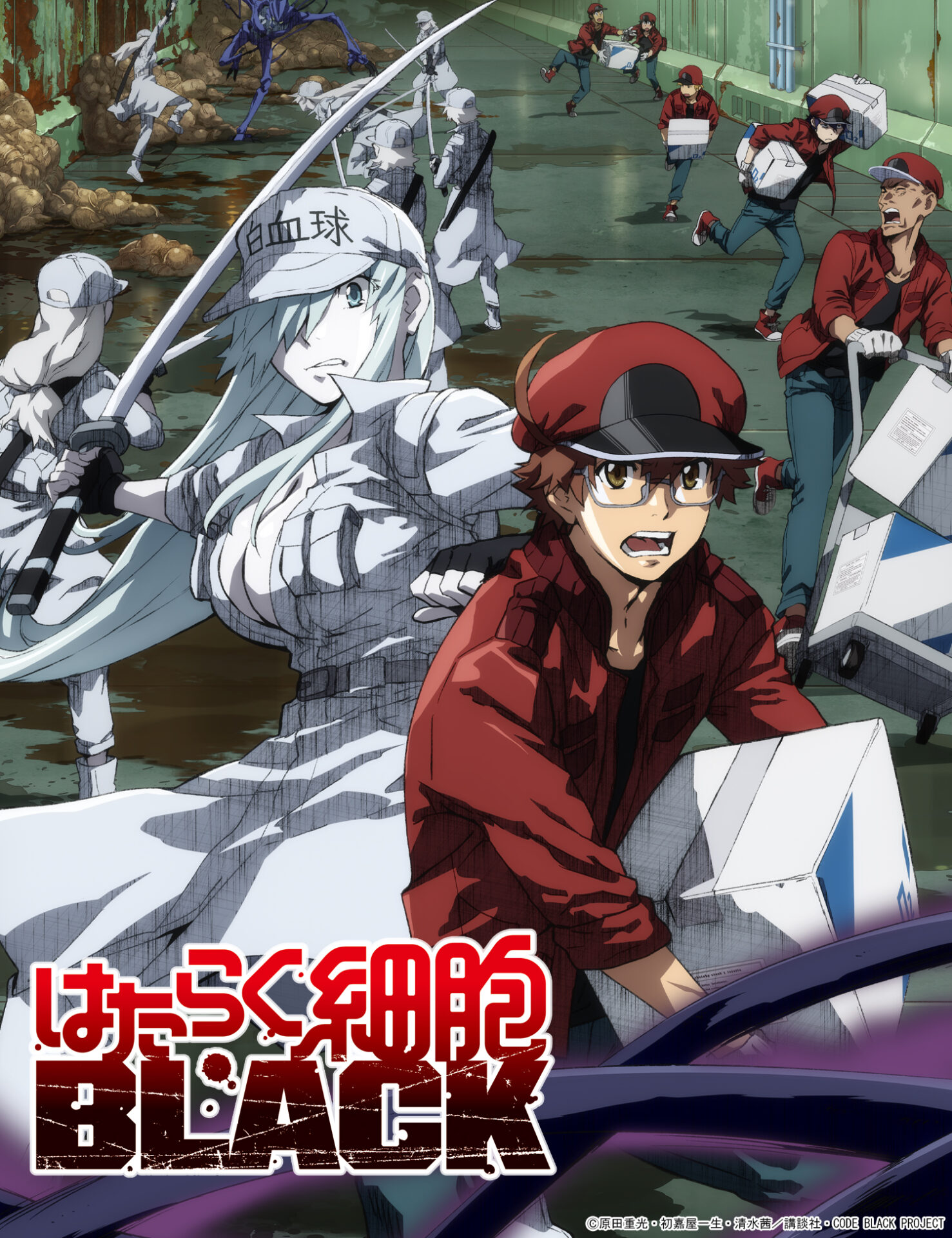 はたらく細胞BLACK ｜ LIDENFILMS - 株式会社ライデンフィルム