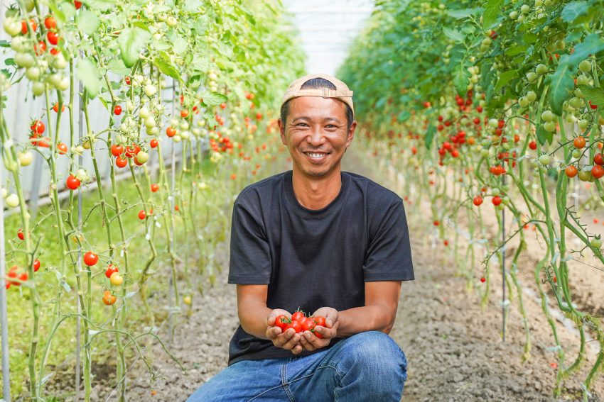 百年の誠実。都農町 | 就農インタビュー：ミニトマト栽培のルーツはレゲエ