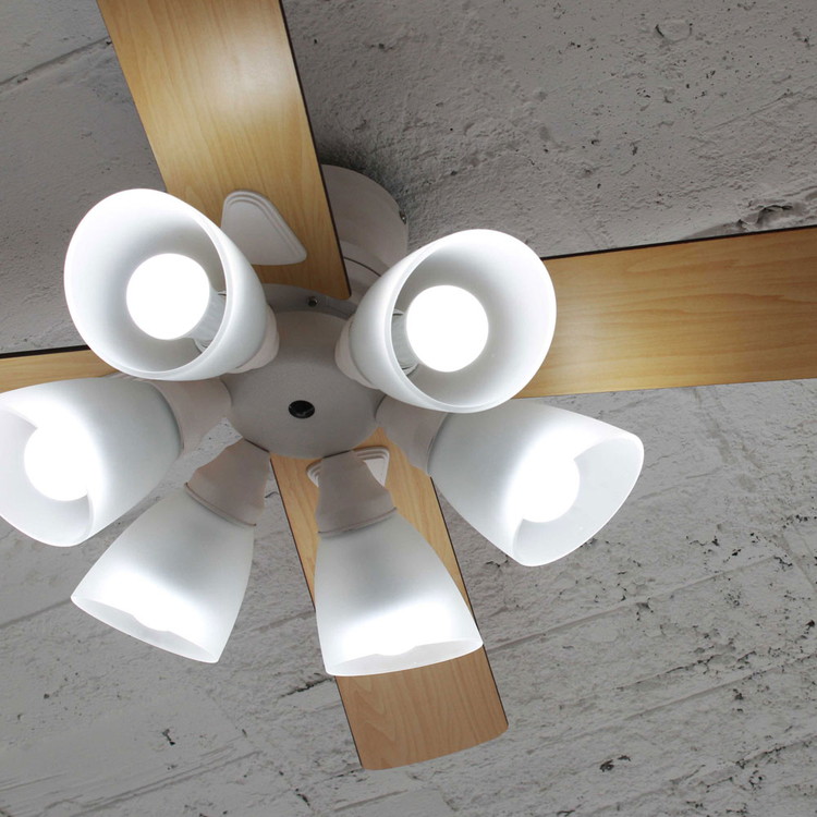 シーリングファン Windouble 6灯 BIG-102 | plusmore(プラスモア)