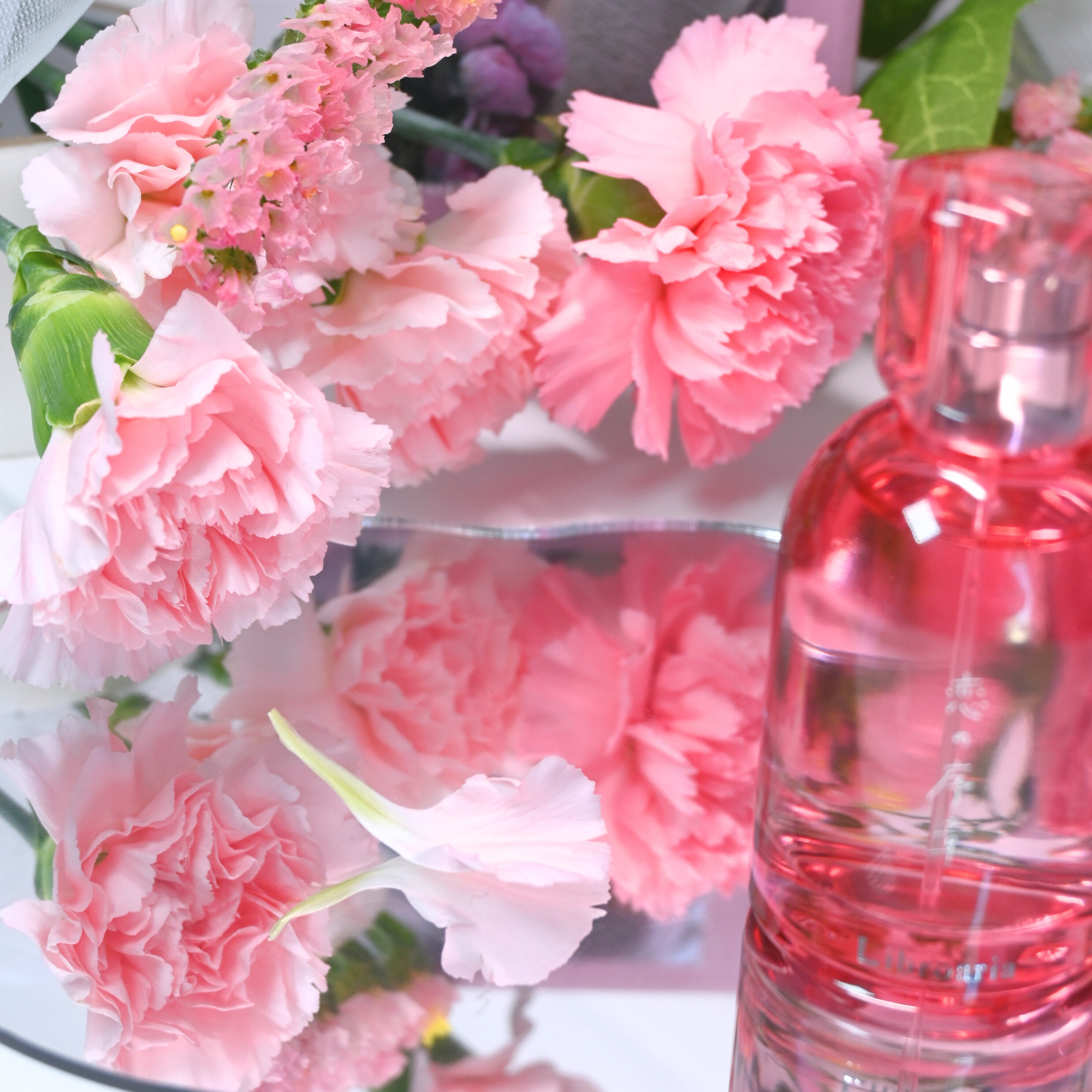 恋の序章 リトル – Libroaria