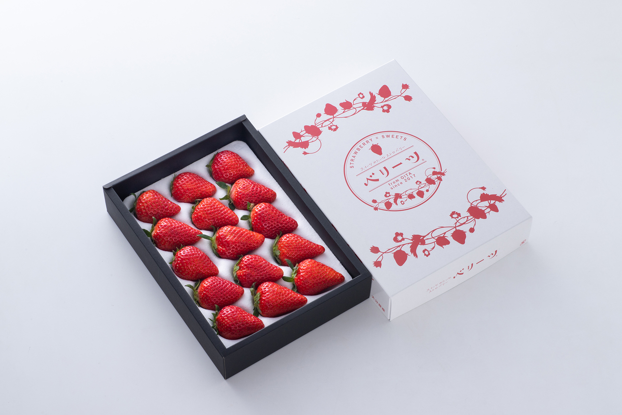 いちご② ニチノウ [冷凍] mikata 国産クラッシュいちご 100g×4袋