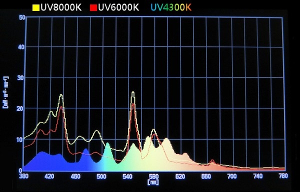バルブ｜灯火総研
