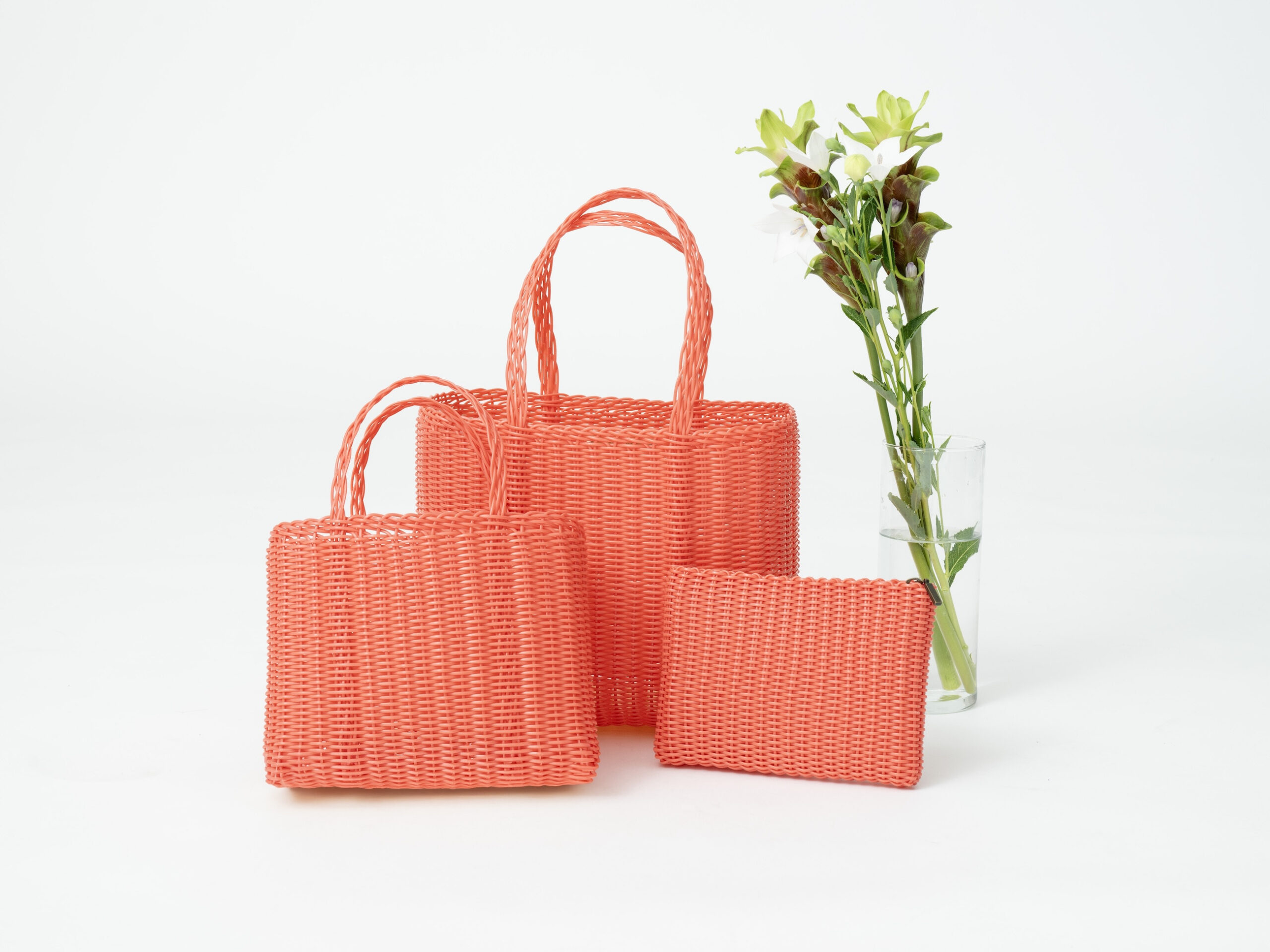 PALOROSA New Arrival | 株式会社リトルリーグ 企業サイト（LITTLE