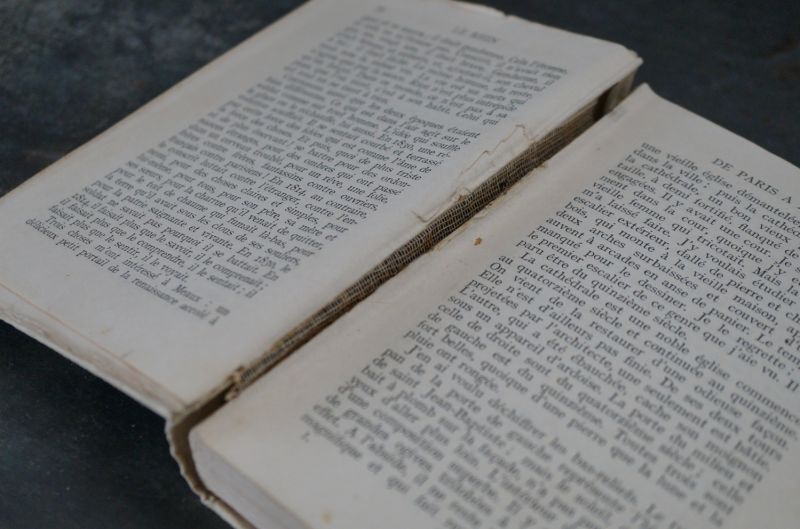 FRANCE antique NELSON BOOK フランス アンティーク 本 ネルソン 古書