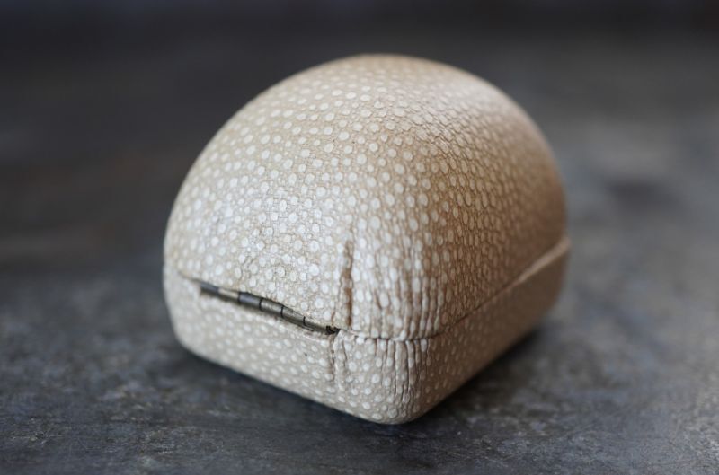 SALE【20%OFF】ENGLAND antique Jewellery Case イギリスアンティーク