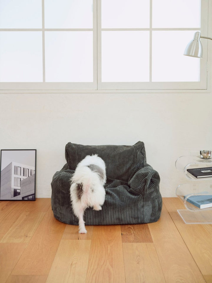 LOOSY 1人掛けビーズソファ ミニ Charcoal｜1人用ソファ おしゃれ