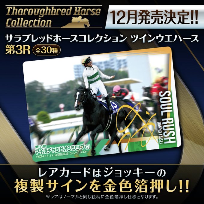 購入禁止】サラブレッドホースコレクション3R ウエハース ノーマル
