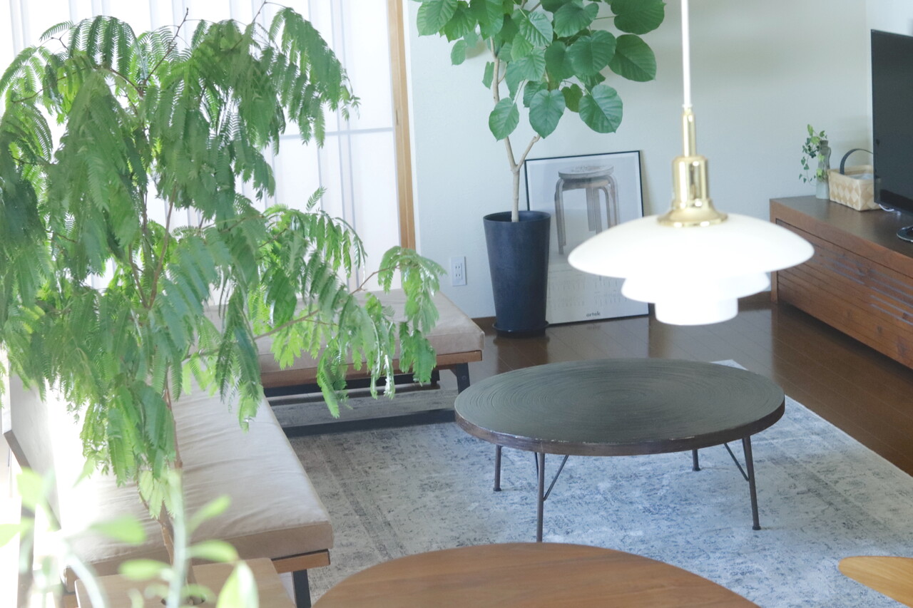 ZARA HOME】恐る恐る買ったけど…何これ！？最高のラグだった！！そして