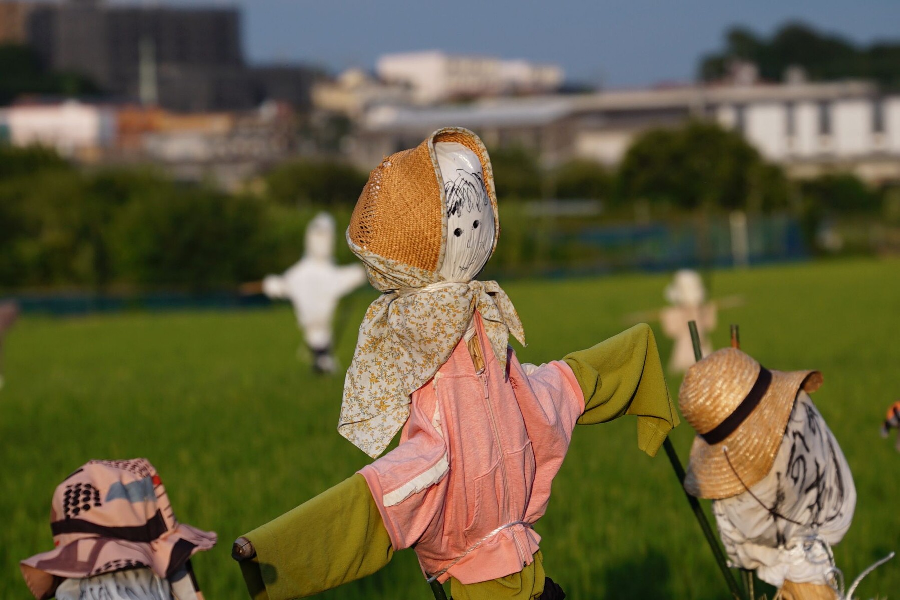 Askar FMA135による田奈の案山子たち【追々記】2025/08/22 : 中川光学