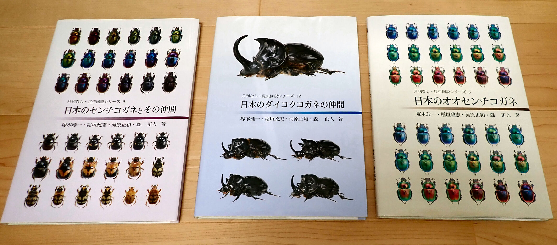 むし社の『日本のオオセンチコガネ』（ちょっと宣伝） : むしむしブログ