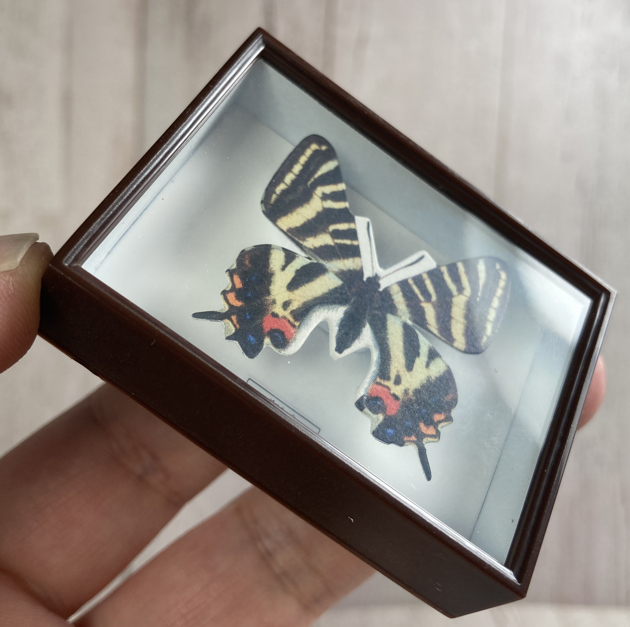 大型ドイツ箱 褐色 3箱セット（Cー3) 大型ドイツ箱 褐色 3箱