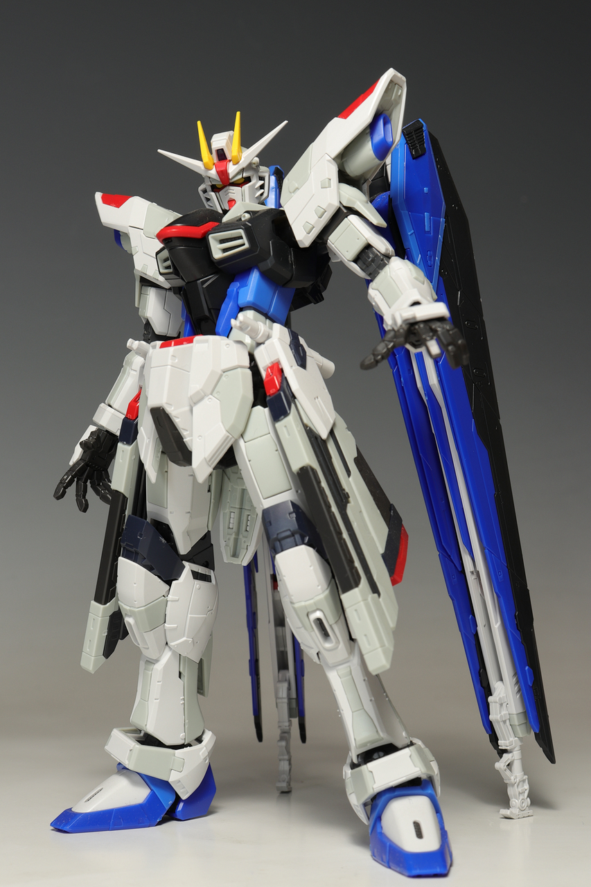 RG フリーダムガンダム Ver.GCP : デンデロの消失