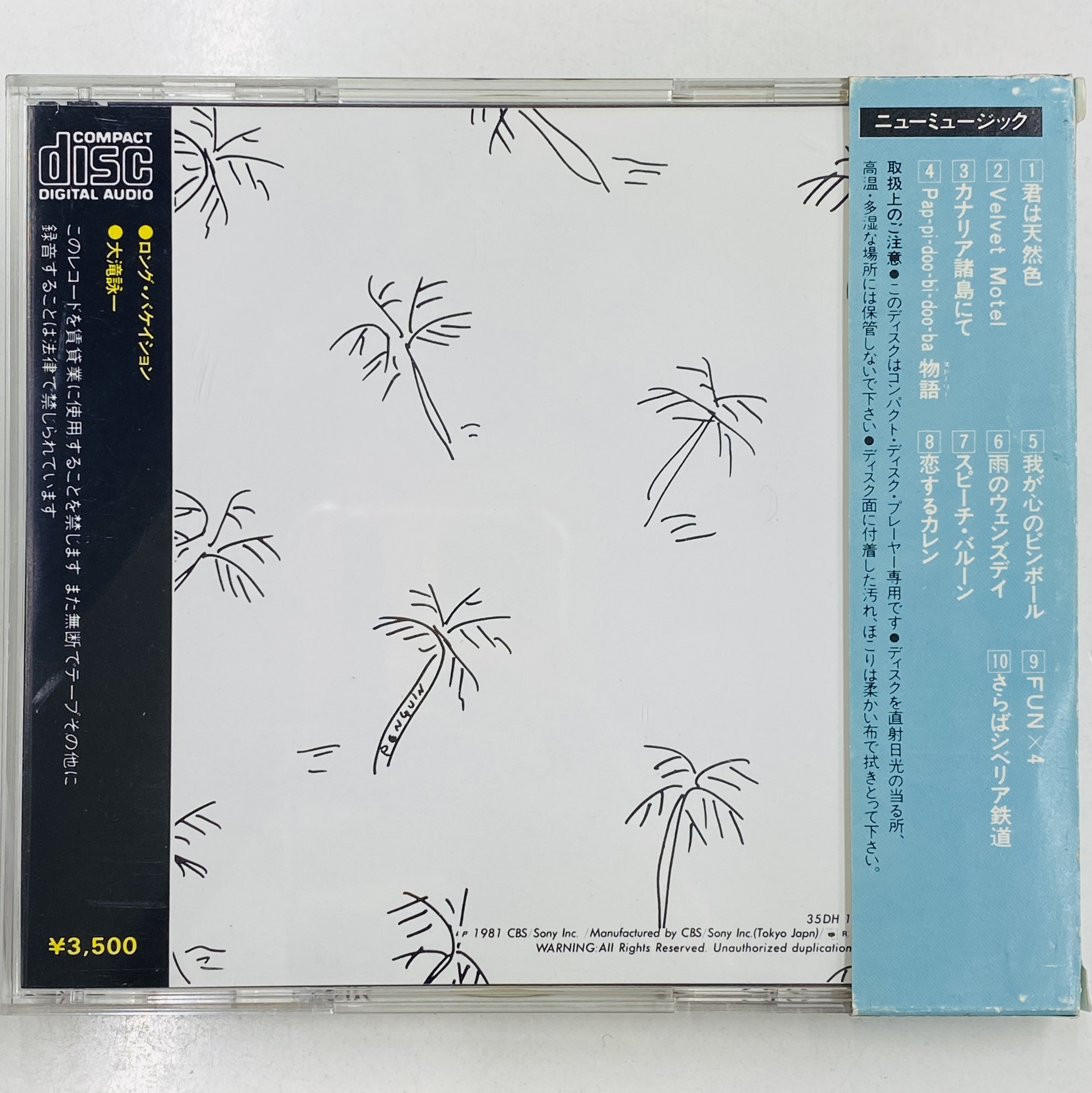 大滝詠一『ロング・バケイション』 希少！35DH1規格の箱帯付が入荷