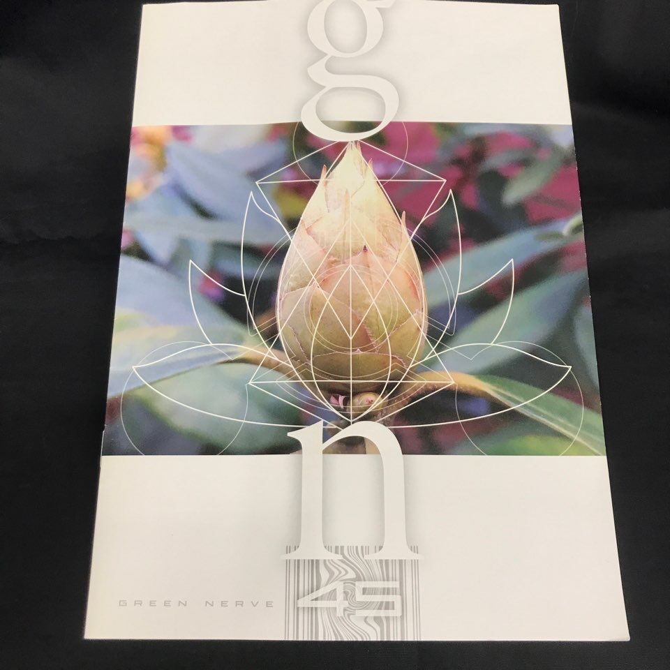 レア】平沢進ファンクラブGREEN NERVE会報1〜10号10冊