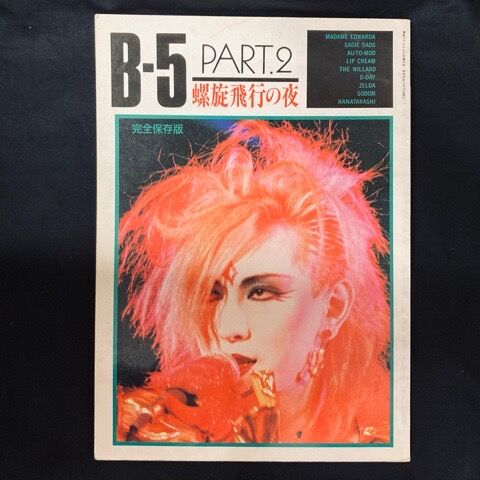 80年代日本のパンク/ニューウェーヴ＞ミニコミ/書籍/パンフ 大放出