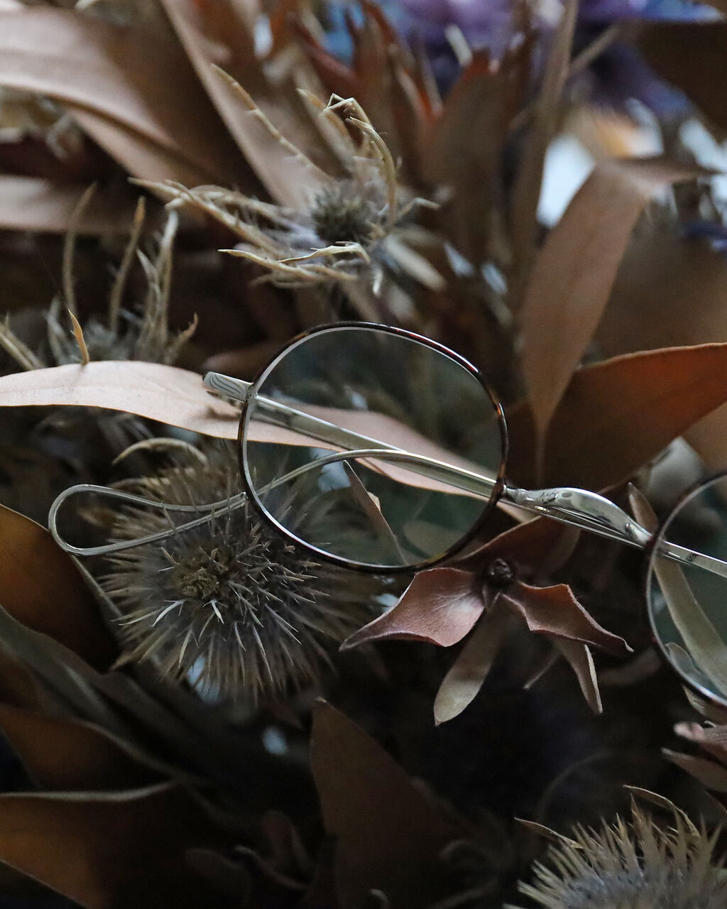 NEW BRAND】BuddyOptical：バディオプティカル 