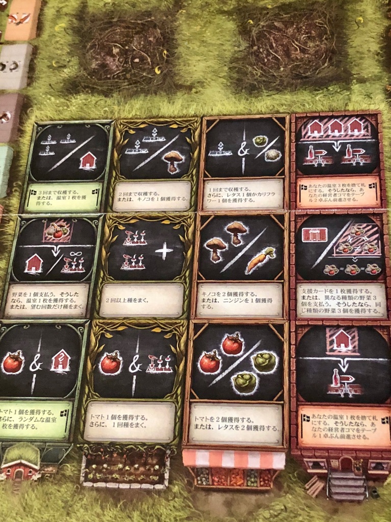 レイクホルト』レビュー！アイスランド舞台の野菜と観光のボードゲーム