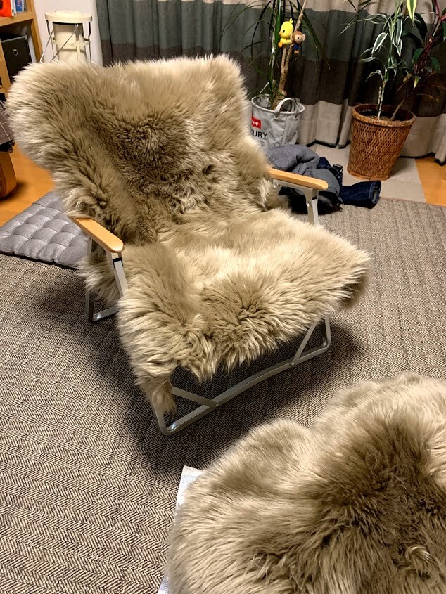 コストコで売ってたムートンラグ : 風太郎のバイク旅とキャンプ@XL1200CX