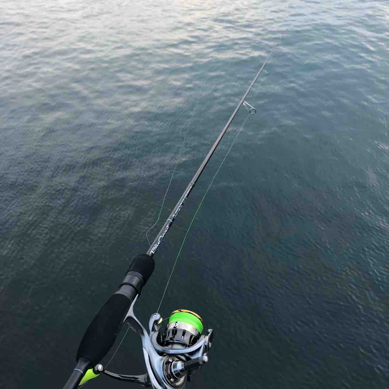 ブルーカレント74Ⅱ インプレ : シーバス&ライトゲームな日々