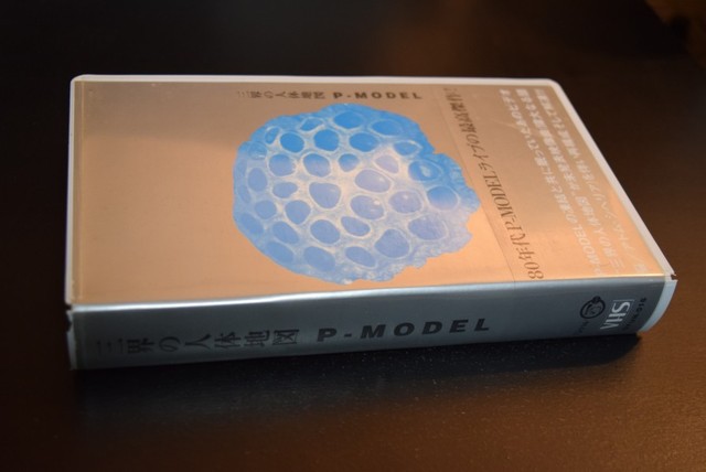 P-MODEL 「三界の人体地図」 : FALCON-106 Official Blog