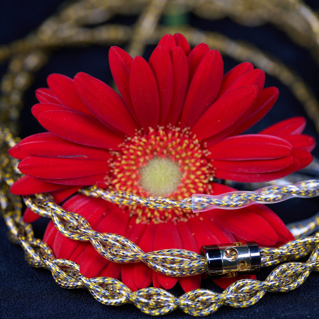 販売終了作品 : SYMPATHIE WORKS